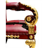 Sillón Modelo Austria