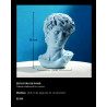 Escultura de David